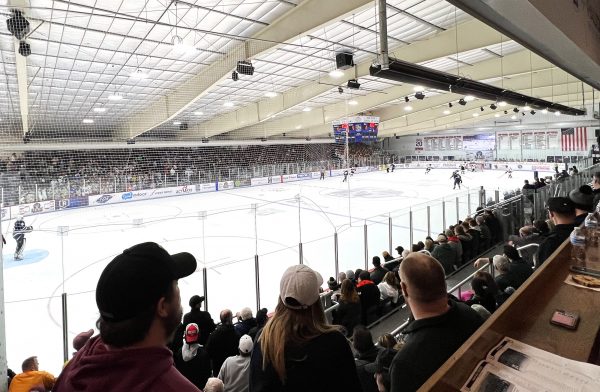 a group of people watching a hockey game.