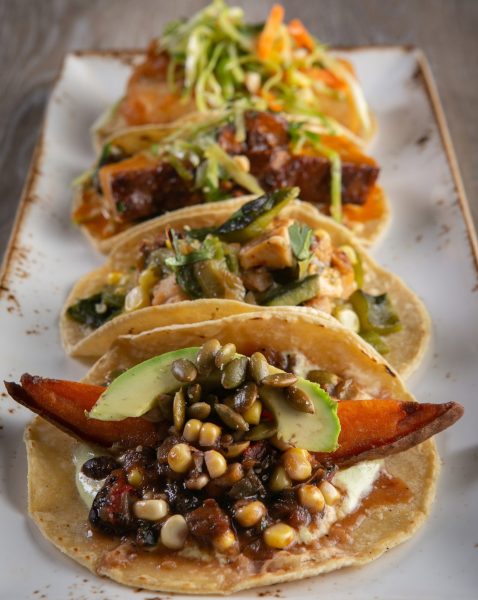 Four tacos are lined up on a plate.