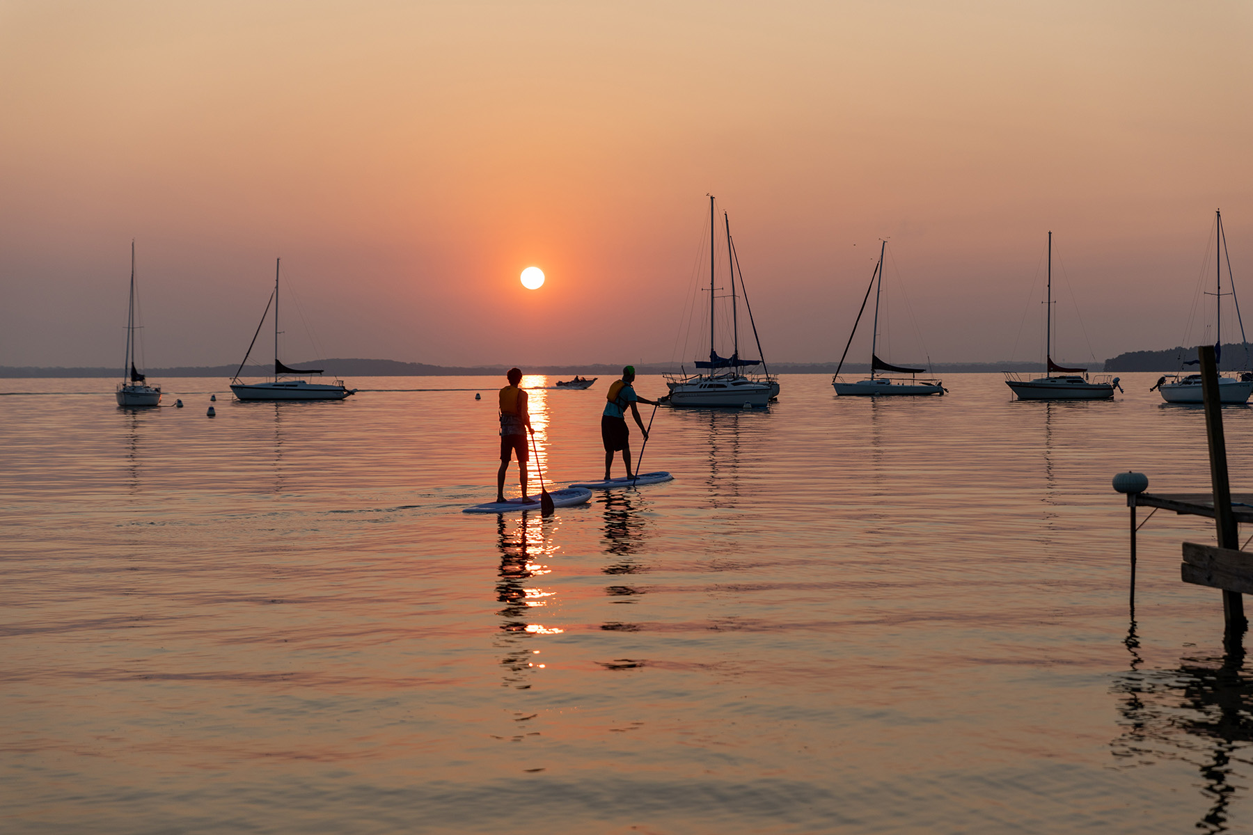Two people stand up paddle boarding in the water at sunset.