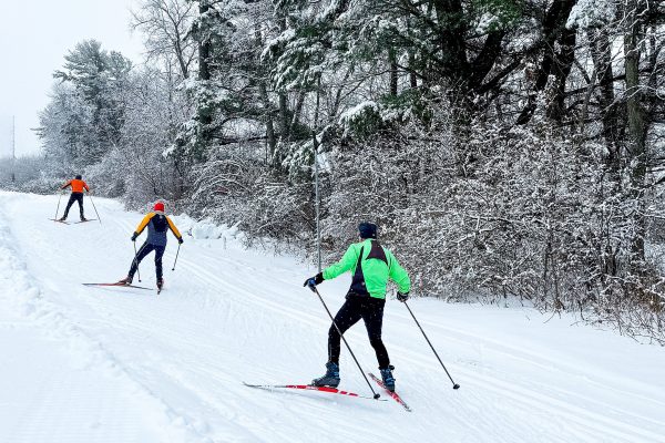 A group of people skiing down a snowy path.