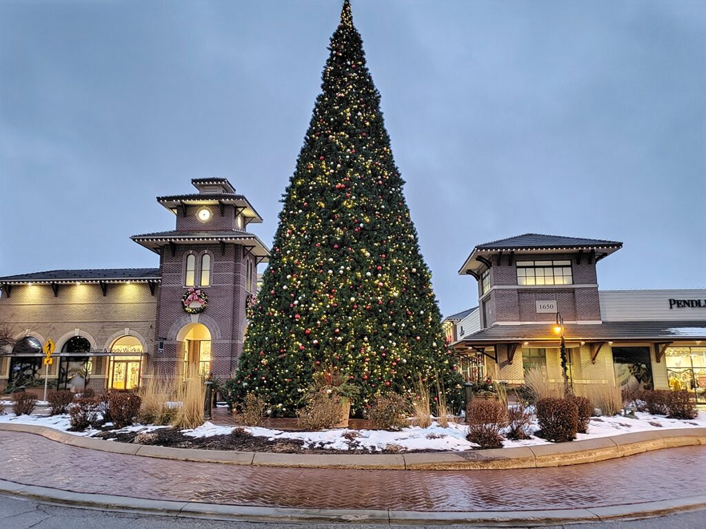 a large christmas tree in front of a building