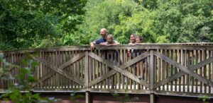 a group of people standing on top of a wooden bridge