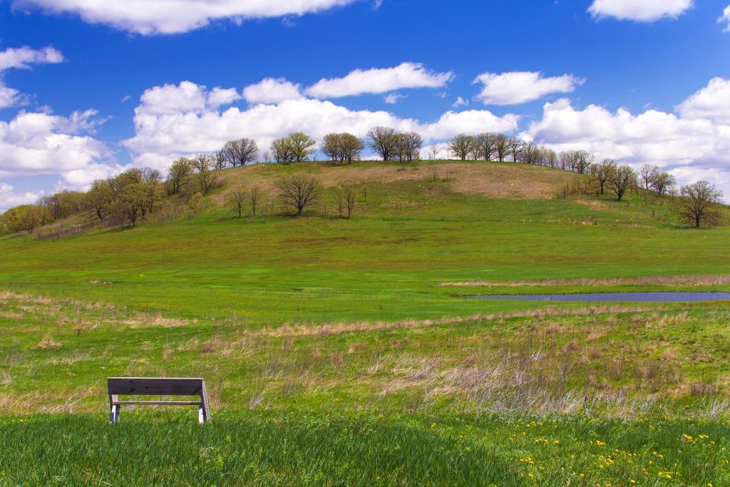 a bench sitting in the middle of a lush green field