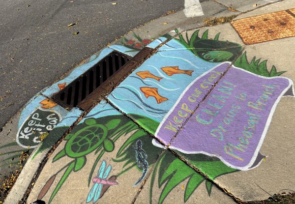 A sidewalk storm drain is painted with fish, a turtle, and text reading "Keep Our Street Clean! Drains to Presque Isle Beach.