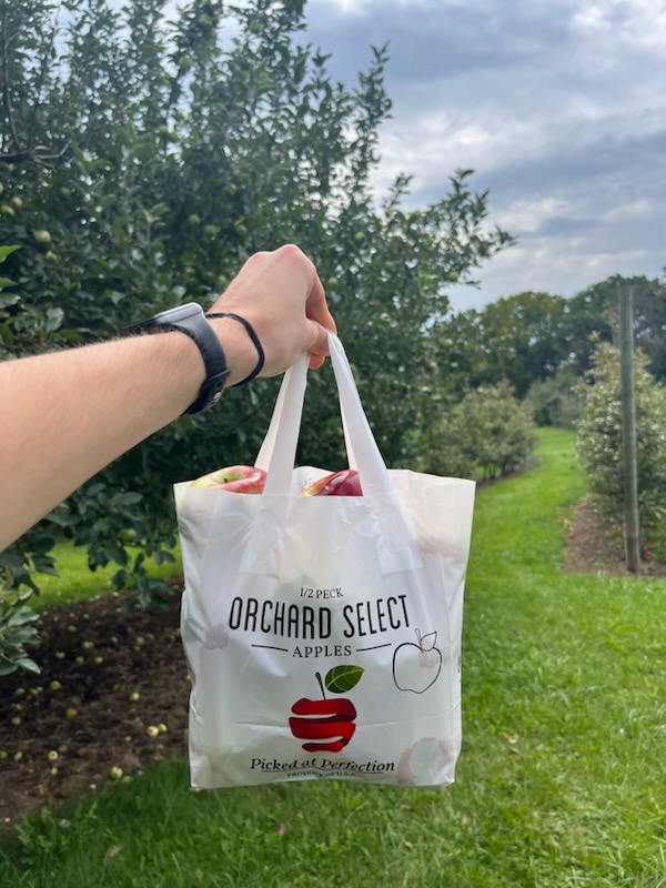A person holding a bag of apples in front of an orchard.