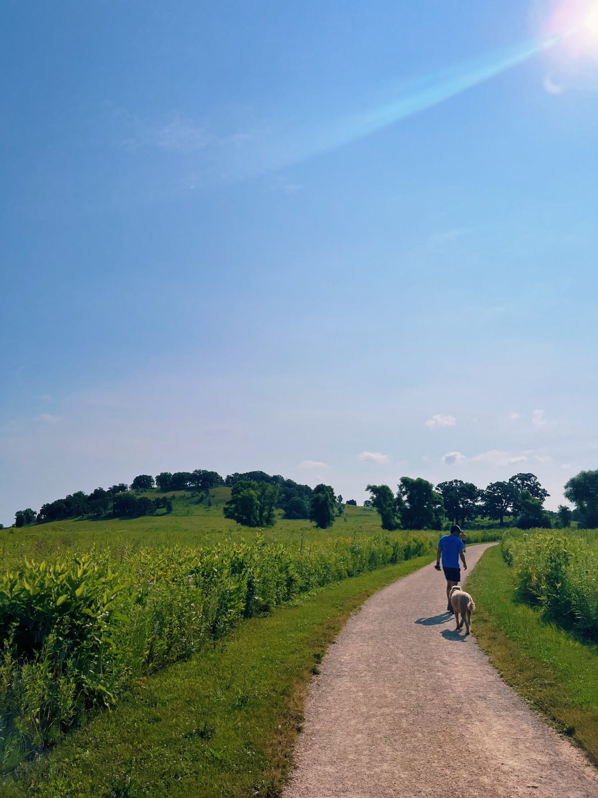 A man walking his dog down a path in a field.