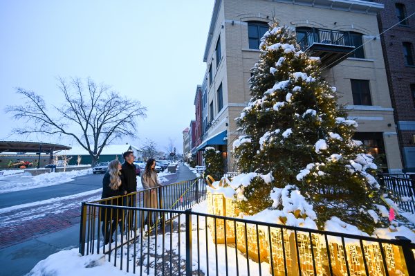 A christmas tree in front of a building in the snow.