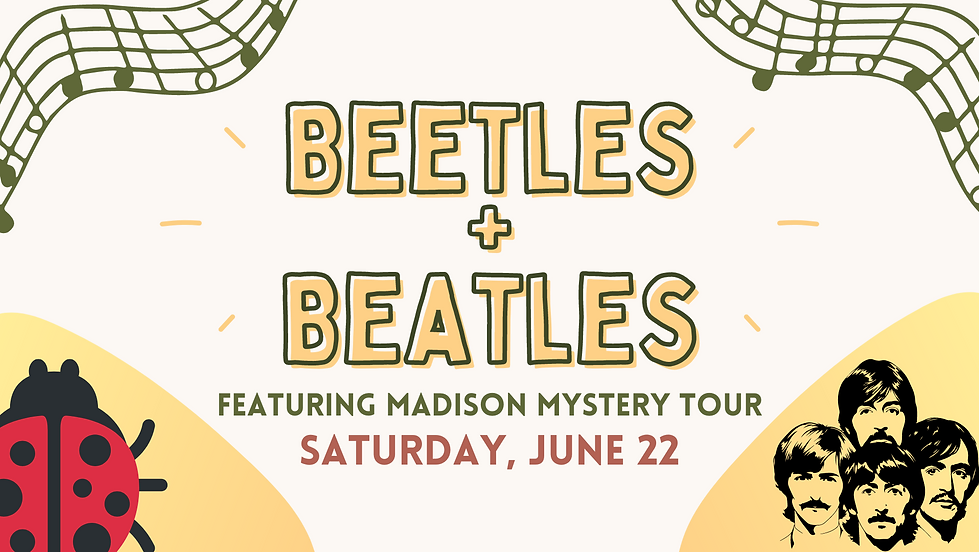 Promotional poster for "beetles + beatles" event featuring madison mystery tour on june 22, with images of a ladybug and the beatles band members.