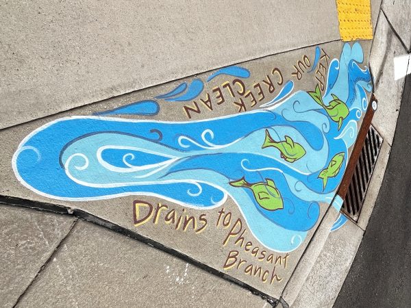 Colorful sidewalk art near a storm drain shows blue water and green fish, with the text "Drains to Pheasant Branch" and "Keep Our Creek Clean.