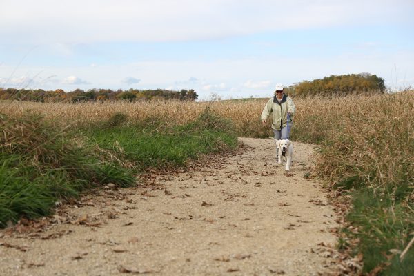 a man walking a dog down a dirt road