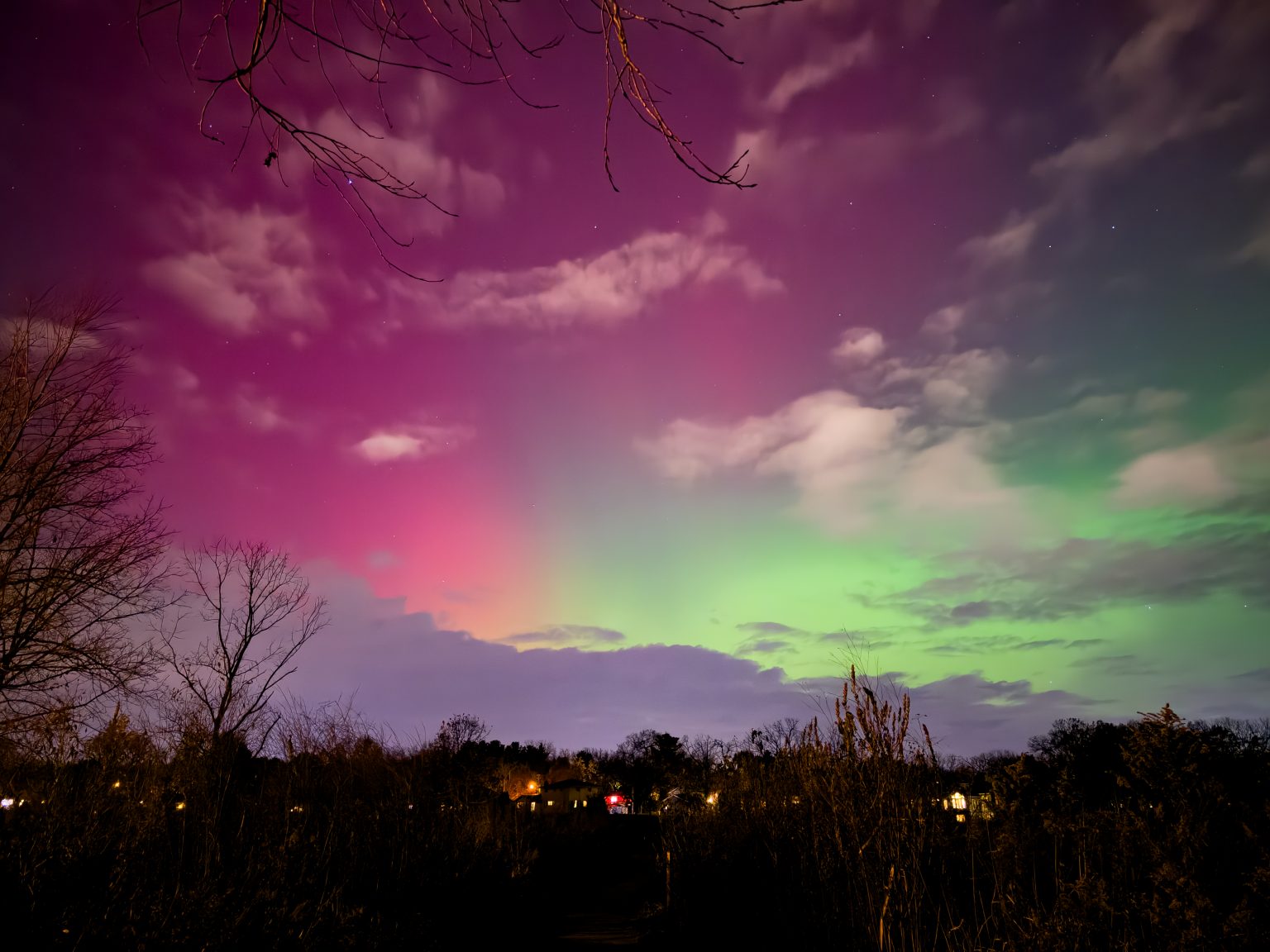 The night sky displays pink and green aurora lights above silhouetted trees and houses with clouds and stars visible.