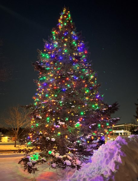 A large outdoor pine tree decorated with colorful Christmas lights stands in the snow at night, with houses visible in the background.