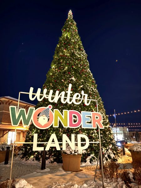 A large, decorated Christmas tree stands behind a brightly lit "Winter Wonderland" sign in a snowy outdoor setting at night.