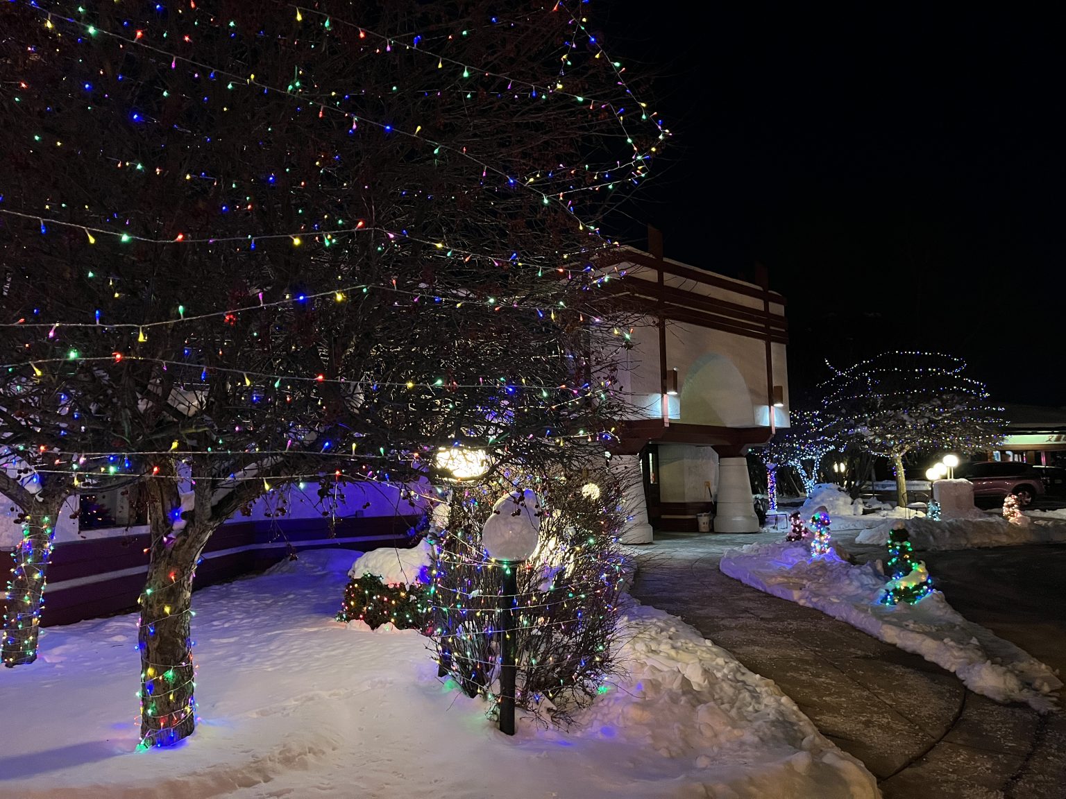 Trees and bushes covered in snow are decorated with colorful holiday lights outside a building at night, possibly near popular vegetarian restaurants. Paths are cleared through the snow, and more lights line the walkway.
