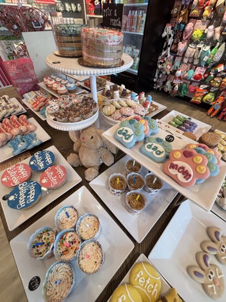 Display of assorted decorated dog treats and toys on white trays in a pet bakery, featuring colorful cookies and cupcakes shaped like paws, bones, and various objects—perfect for pampering your dog with a sweet spa-inspired treat.