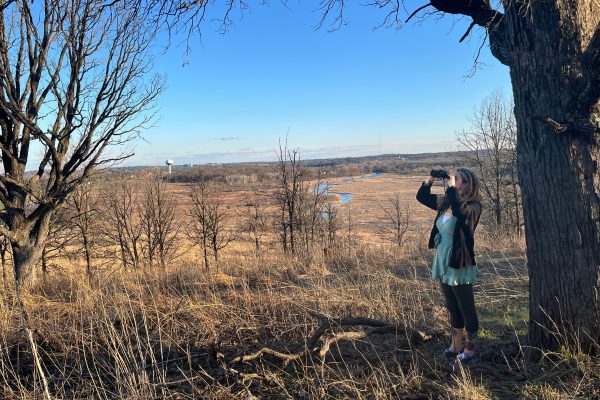 A woman stands on a grassy hill near bare trees, looking through binoculars at a distant landscape under a clear blue sky.