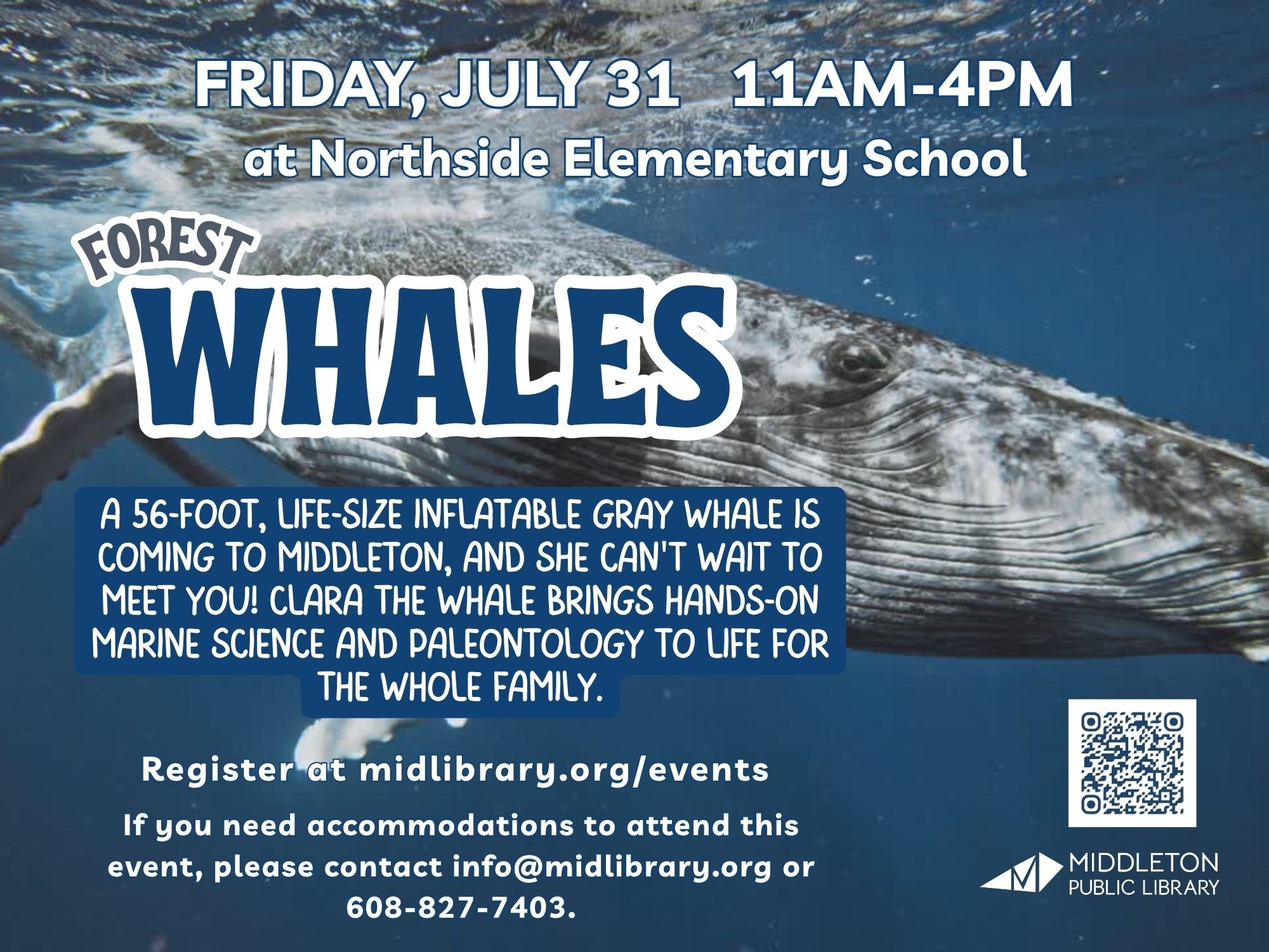 A large inflatable gray whale is displayed underwater to promote a family event at Northside Elementary School on July 31, hosted by Middleton Public Library.